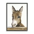thumbnail image 4 of Stupell Industries Baby Donkey Portrait Adorable Farm Animal Black Framed, 24 x 30, Design by George Dyachenko, 4 of 5