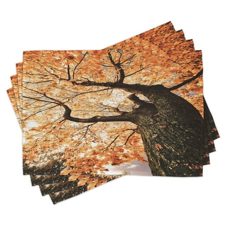 

Forest Placemats Set of 4 Body of Old Tree Seedling Botany Woodsy Roots Falling Maple Leaf Design Print Washable Fabric Place Mats for Dining Room Kitchen Table Decor Orange Brown by Ambesonne