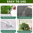 thumbnail image 2 of TrdSipl Cactus Plant Watering Balls, Plastic Self Watering Planter Insert, Automatic Plant Waterer Indoor, Self Watering Globes, Suitable for Both Indoor and Outdoor Plants (4PC), 2 of 10