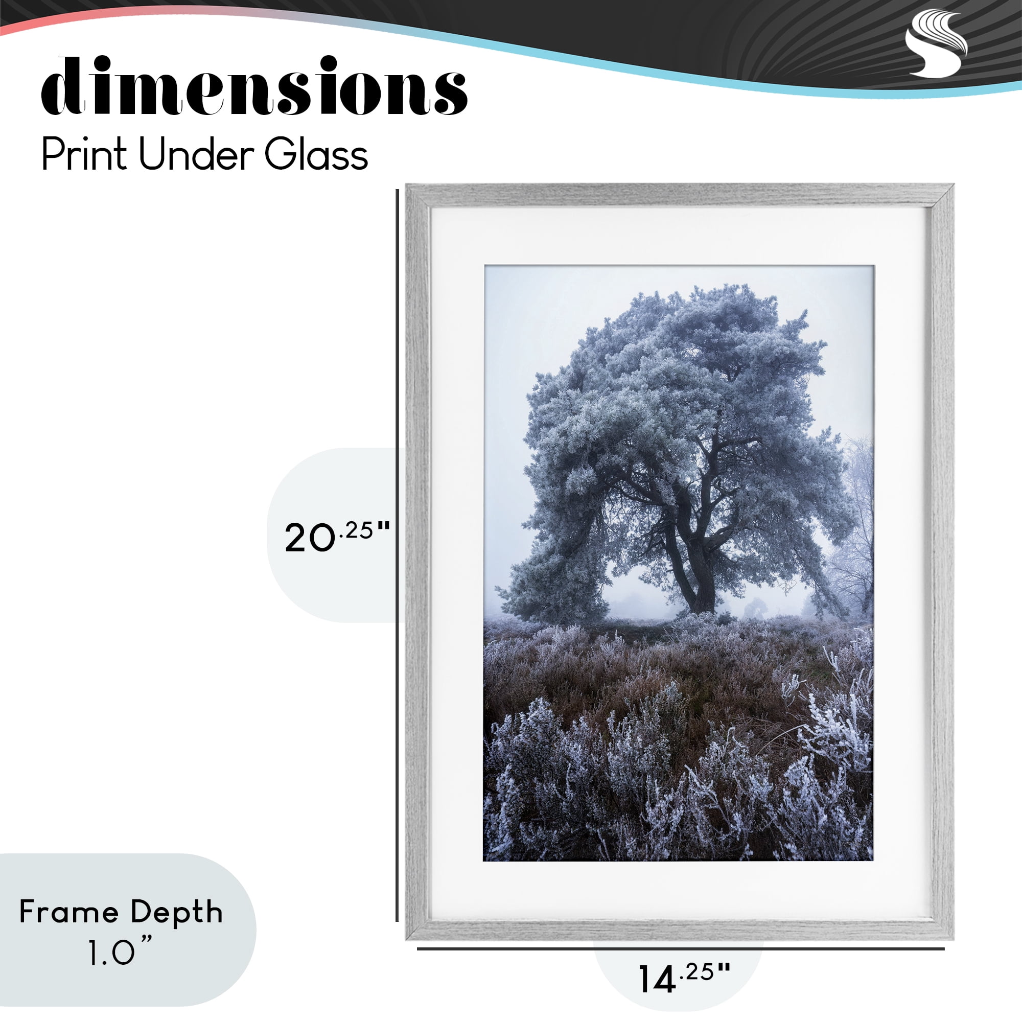 Stupell Industries Frosted Tree in Winter Mist Gray Framed Print Under Glass, design by Martin Podt