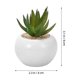 thumbnail image 2 of UPGRATOR 3Ud Planta Falsa Para Decorar Hogar Oficina Y Material Duradero, 2 of 8