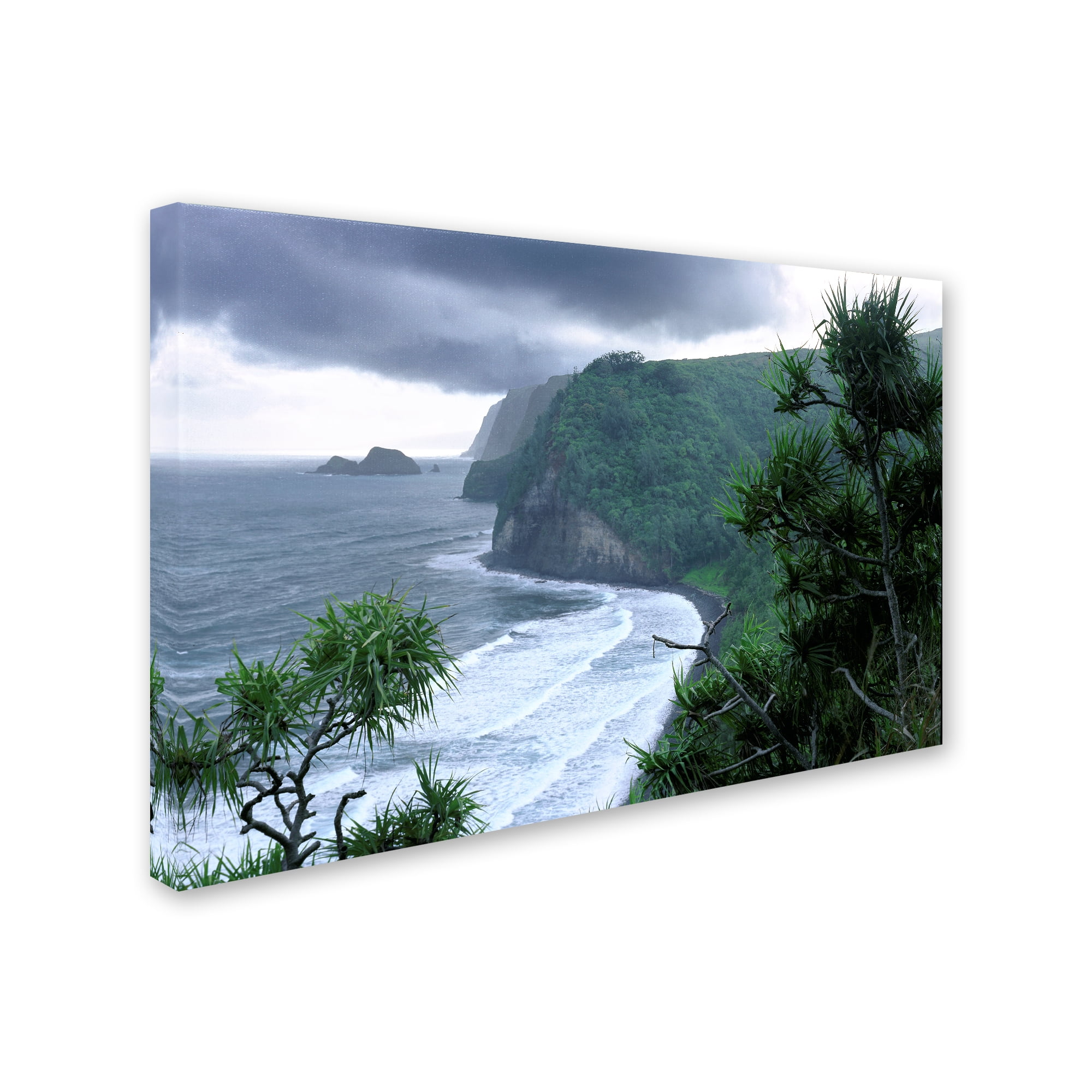 Trademark Fine Art 'Pololu Valley' Canvas Art by Mike Jones Photo