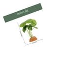 thumbnail image 2 of Nestingho De Artificiales Para Acuario Y Terrario De Reptiles Color, 2 of 7