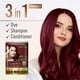 thumbnail image 5 of Herbishh Argan Hair Mask Shampoo - Natural Hair Dye for Gray Hair - Long-Lasting Color in Minutes - Travel Size - Ammonia-Free - 10+1 Pack (Grape Red), 5 of 7