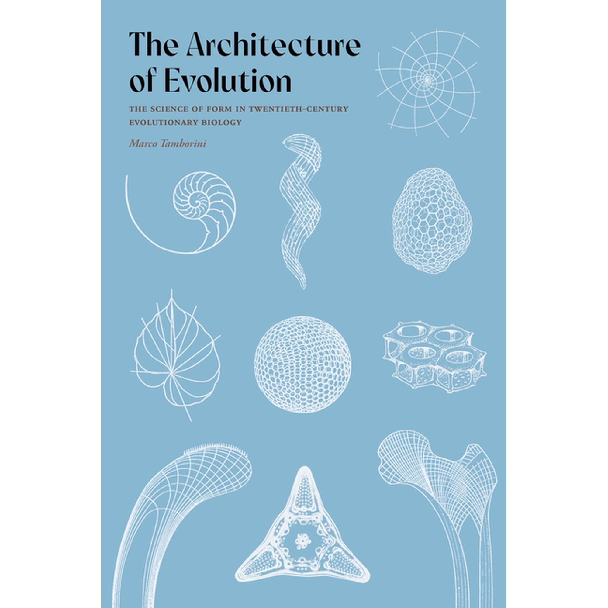 The Architecture of Evolution: The Science of Form in Twentieth-Century Evolutionary Biology (Hardcover)