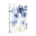 thumbnail image 2 of Danhui Nai 'Delicate Poppies III Blue' Canvas Art, 2 of 4