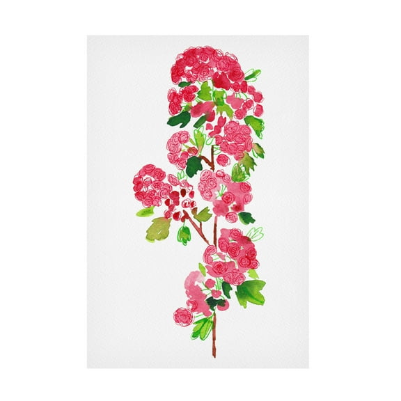 Trademark Fine Art Kata Botanical  Paul's Scarlet' botanical painting Canvas Wall Art