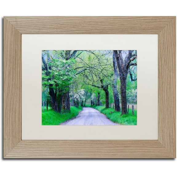 Trademark Fine Art "Cades Cove Lane" Canvas Art by Michael Blanchette Photography White Matte, Birch Frame