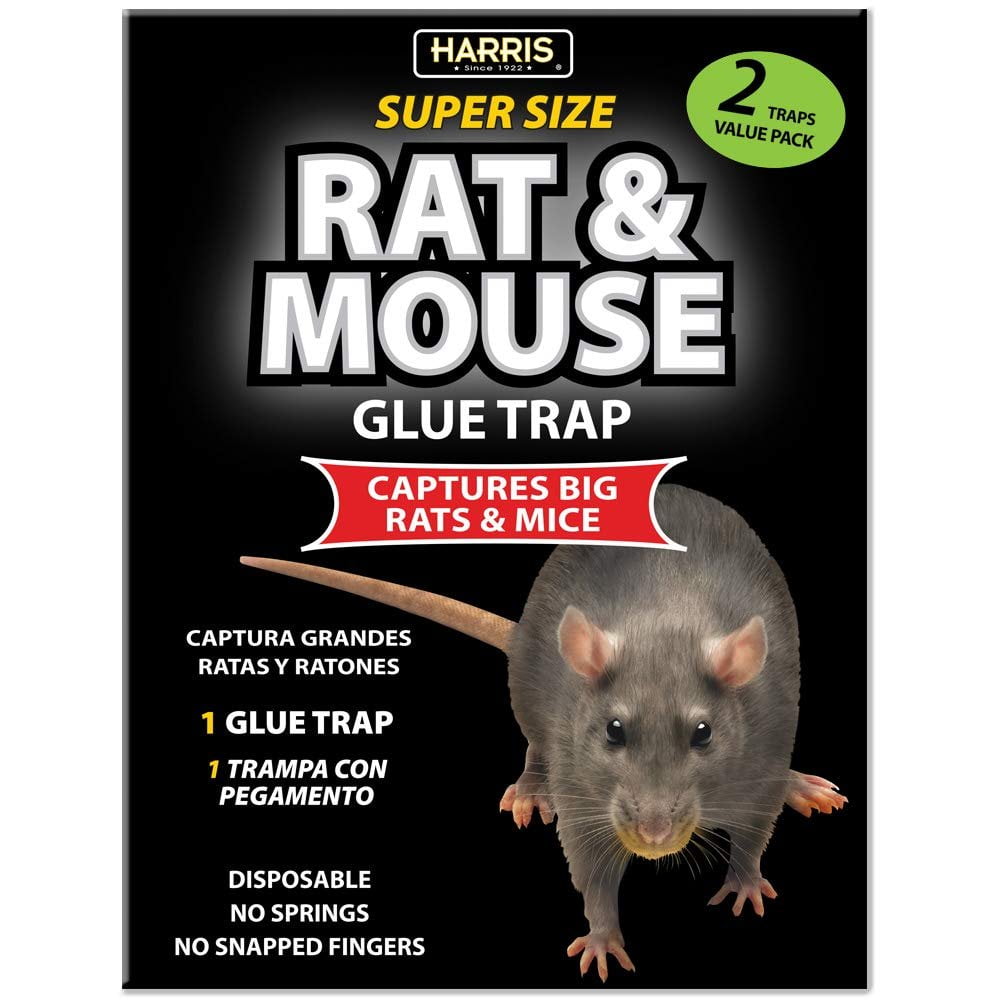 HARRIS Toughest Rat Glue Trap (2/Pack) - Walmart.com - Walmart.com
