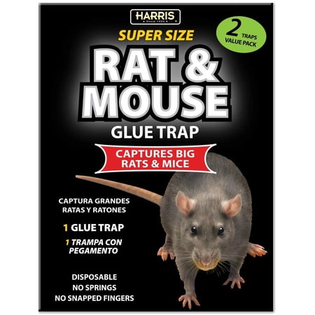Harris Toughest Rat Glue Trap - Large Solid Trap - 2 Pack