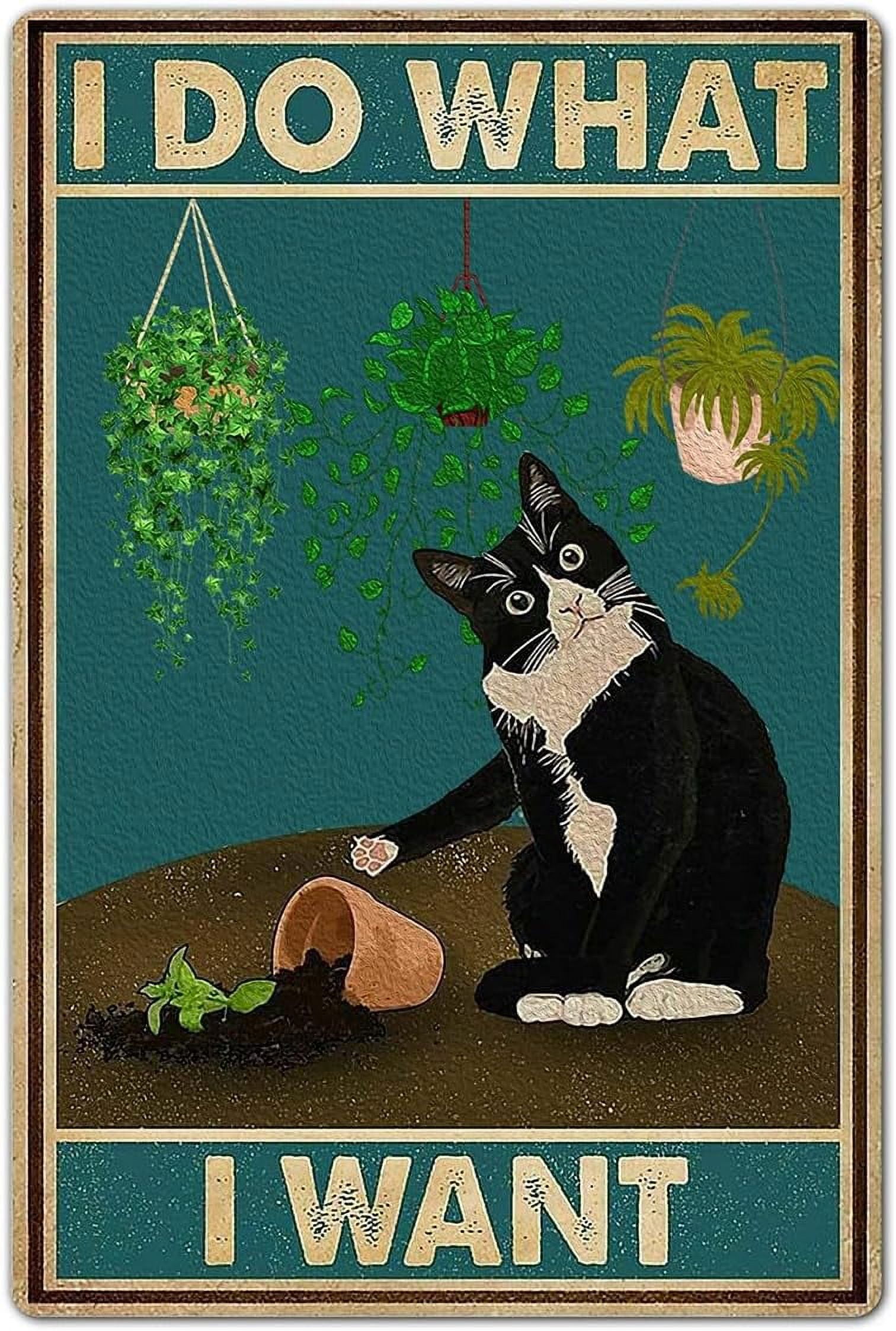 Domestic cat/フンデルトヴァッサー/ポスター Domestic cat/フンデルトヴァッサー/ポスター Domestic cat/フンデルト