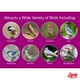 thumbnail image 5 of Semillas de girasol líricas de Wild Bird Seed, bolsa de 11,34 kg, sin residuos, 5 of 7