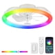 thumbnail image 1 of Ventilador de Techo LEDIARY 20" Luz RGB Regulable 6 Velocidades con Control Remoto, 1 of 9