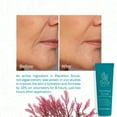 thumbnail image 2 of Sea Beauty Plankton Scrub, Marine Exfoliant Facial Gel, Powerful Detox with Red Algae, Fossilized Sea Mineral & Earth Water. For Softer & Firmer Skin, Deep Micro Pore Refine Scrub, Luminous Skin, 2 of 8
