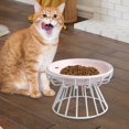 thumbnail image 1 of Cuenco elevado Yinane Comedero para gatos plato de cerámica estante de hierro desmontable, 1 of 8