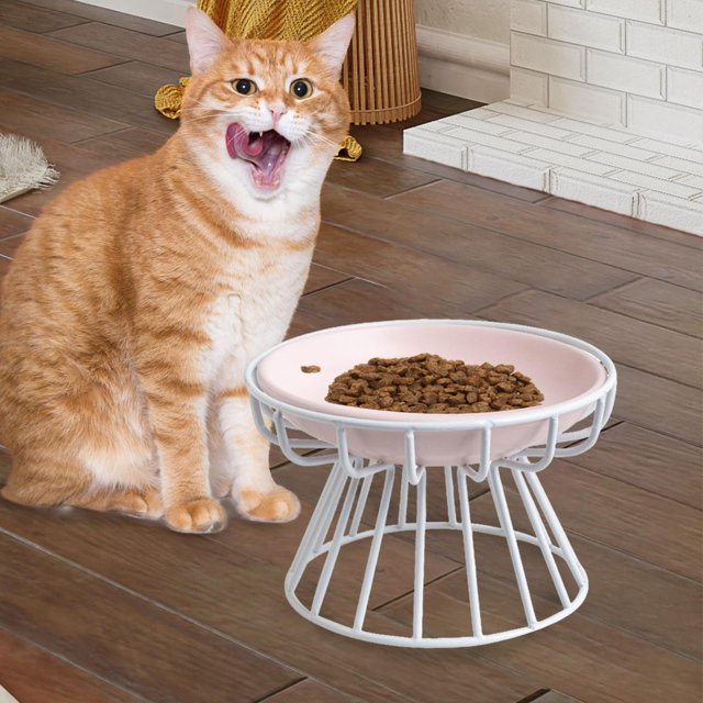 Cuenco elevado Yinane Comedero para gatos plato de cerámica estante de hierro desmontable