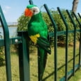 thumbnail image 7 of Simulation Parrot Decorative,Realistic Parrot Outdoor Sculpture Landscape Ornament Patio Yard Lawn Figurine Tree DIY Decor, 7 of 7