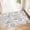 White and Black, variant on 2x3 Washable Rug Small Area Rugs Low Pile Mid Century Modern | Throw Carpet for Entryway Bathroom Kitchen Bedroom Bedside Non Slip Floor Indoor Boho Abstract