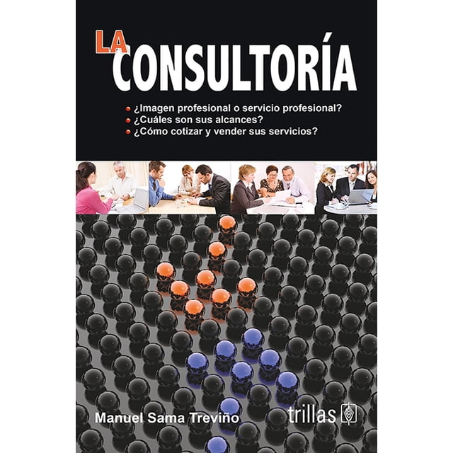 La Consultoría