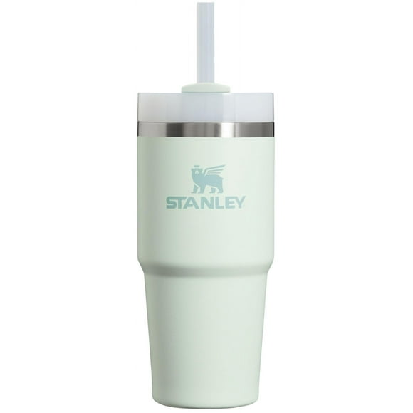 Stanley Quencher H2.0 FlowState Stainless Steel Vacuum Insulated Tumbler with Lid and Straw for Water Iced Tea or Coffee Smoothie and More Mist 14oz