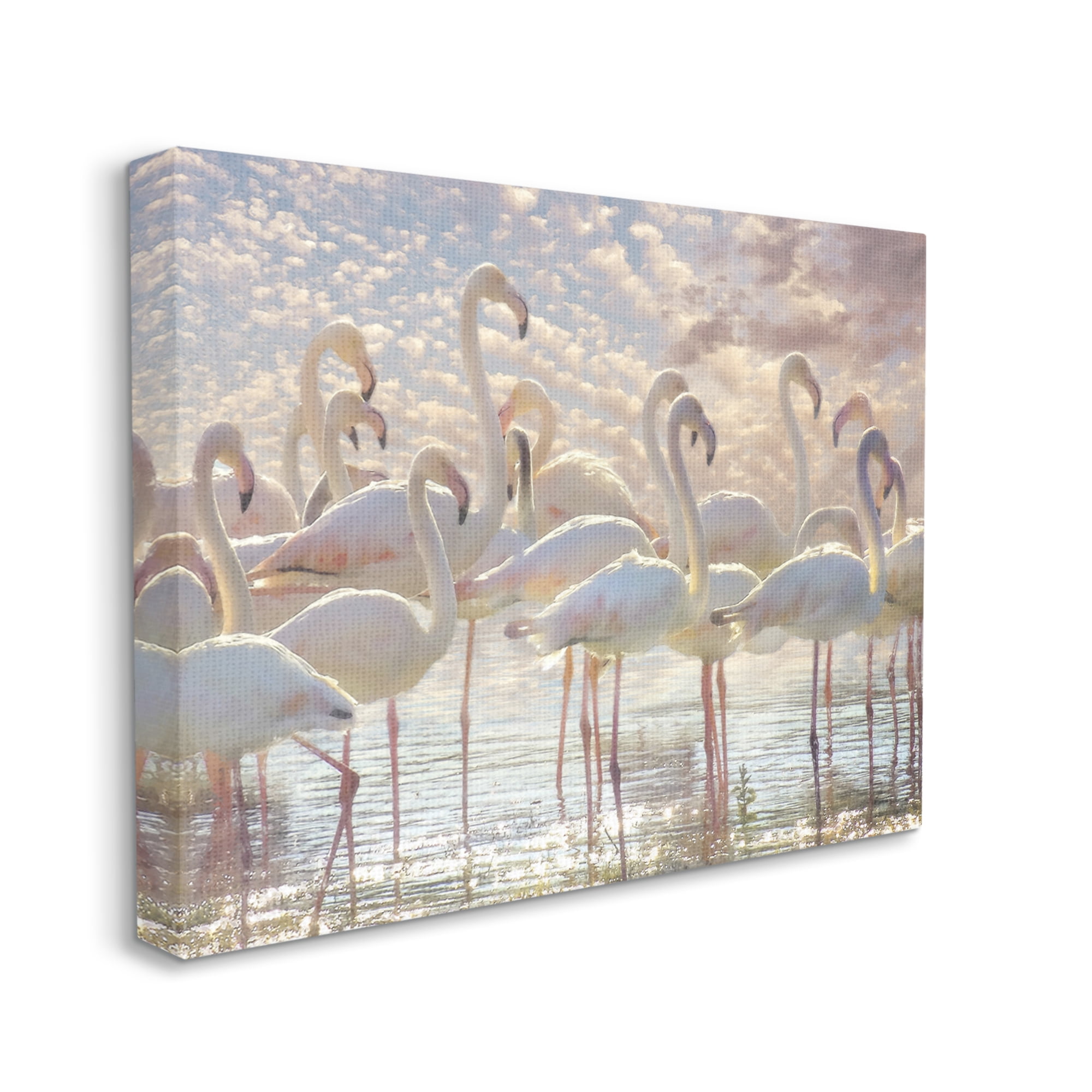 Stupell Industries Pretty Pink White Flamingos Standing Sparkling Water Clouds , 30 x 24, Design by Steve Hunziker