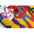 thumbnail image 3 of Marvel Spidey  and  His Amazing Friends Team Spider-Man Throw, 3 of 3