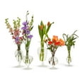 thumbnail image 3 of Two's Company Verre Set of 5 Fluted Vases, 3 of 3