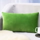 thumbnail image 1 of Funda de almohada rectangular de terciopelo color verde, 1 of 6