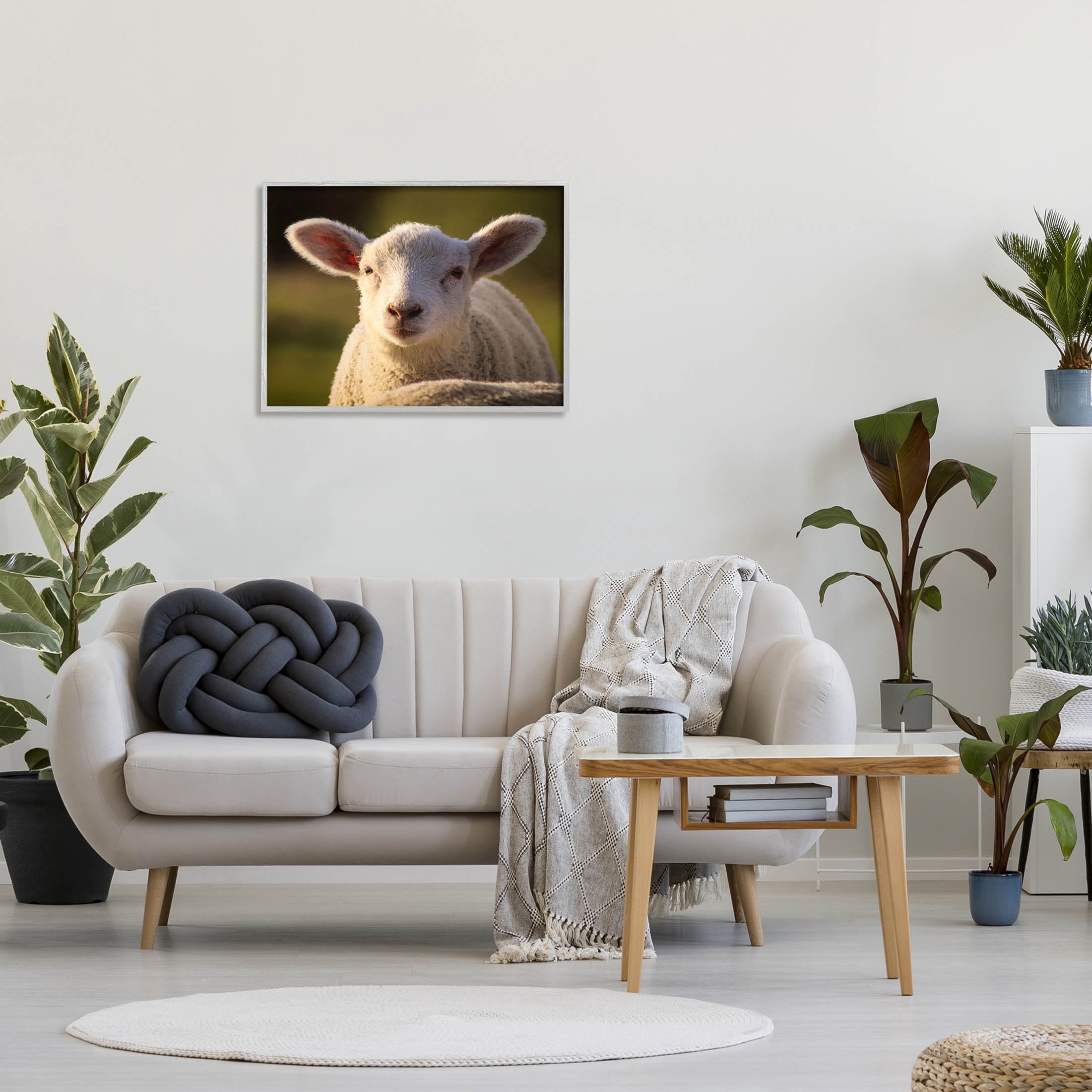 Stupell Industries Gazing Farm Sheep Photograph Photograph Gray Framed Art Print Wall Art, Design by Daphne Polselli