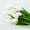 White, variant on 10Pcs Blush Artificial Tulips Silk Flowers, Long Stem and Green Leaves, Fake Flowers Decoration for Vase, Wedding, Party, Kitchen, Office, Home, Bedroom, Table Centerpiece Decor
