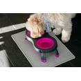 thumbnail image 4 of Comedero Doble Elevado para Mascotas Dexas Fucsia, 4 of 8
