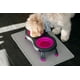 thumbnail image 4 of Comedero Doble Elevado para Mascotas Dexas Fucsia, 4 of 8