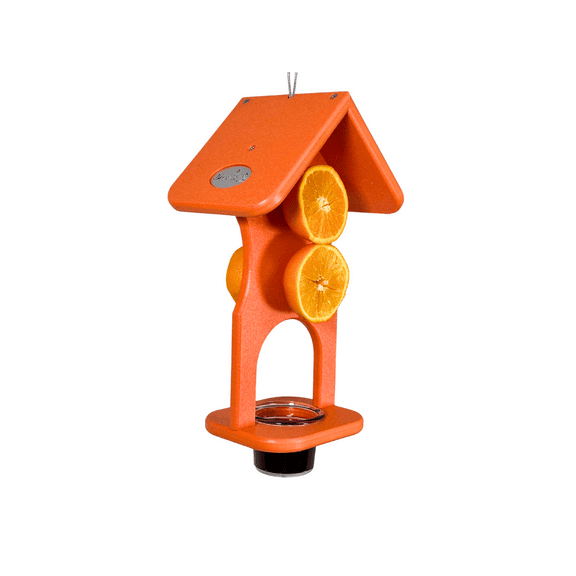 JCS Wildlife Hourglass Jelly and Double Fruit Orange Oriole Bird Feeder - Feed 4 Orange Halves and Grape Jelly - Made in the USA