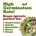 thumbnail image 6 of Rainbow Sprouting Beans Mix, 1 Pound — Kosher, Sproutable — by Food to Live, 6 of 8