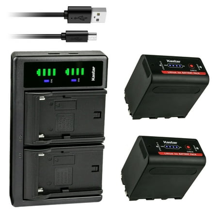 Kastar 2-Pack NP-F980EXP Battery and LTD2 USB Charger Compatible with Sony CCD-TRV300 CCD-TRV3000 CCD-TRV315 CCD-TRV35 CCD-TRV36 CCD-TRV37 CCD-TRV4 CCD-TRV41 CCD-TRV43 CCD-TRV45 CCD-TRV46 Camera
