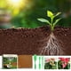 thumbnail image 1 of Xihbxyly Ladrillo de Fibra de Coco, Alta Retención de Agua para Un Crecimiento Óptimo, Ideal para Jardinería Interior y Exterior, Multiusos para Vegetales y Flores, Fácil de Usar y Almacenar, Kit Com, 1 of 7