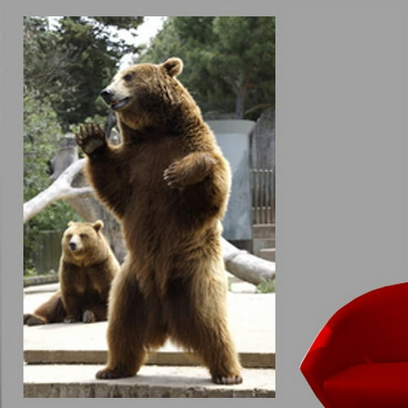 Wallhogs Bear I Wall Mural