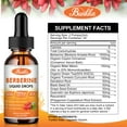 thumbnail image 5 of 1500mg Berberine Liquid Drops - with Ceylon Cinnamon, Bitter Melon, Sugar-Free & Vegan - Berberine Veggie Supplement - 2FL oz by BK, 5 of 5