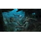 thumbnail image 4 of Assassin's Creed IV: Black Flag - PlayStation 3 Ubisoft Black Flag, 4 of 8