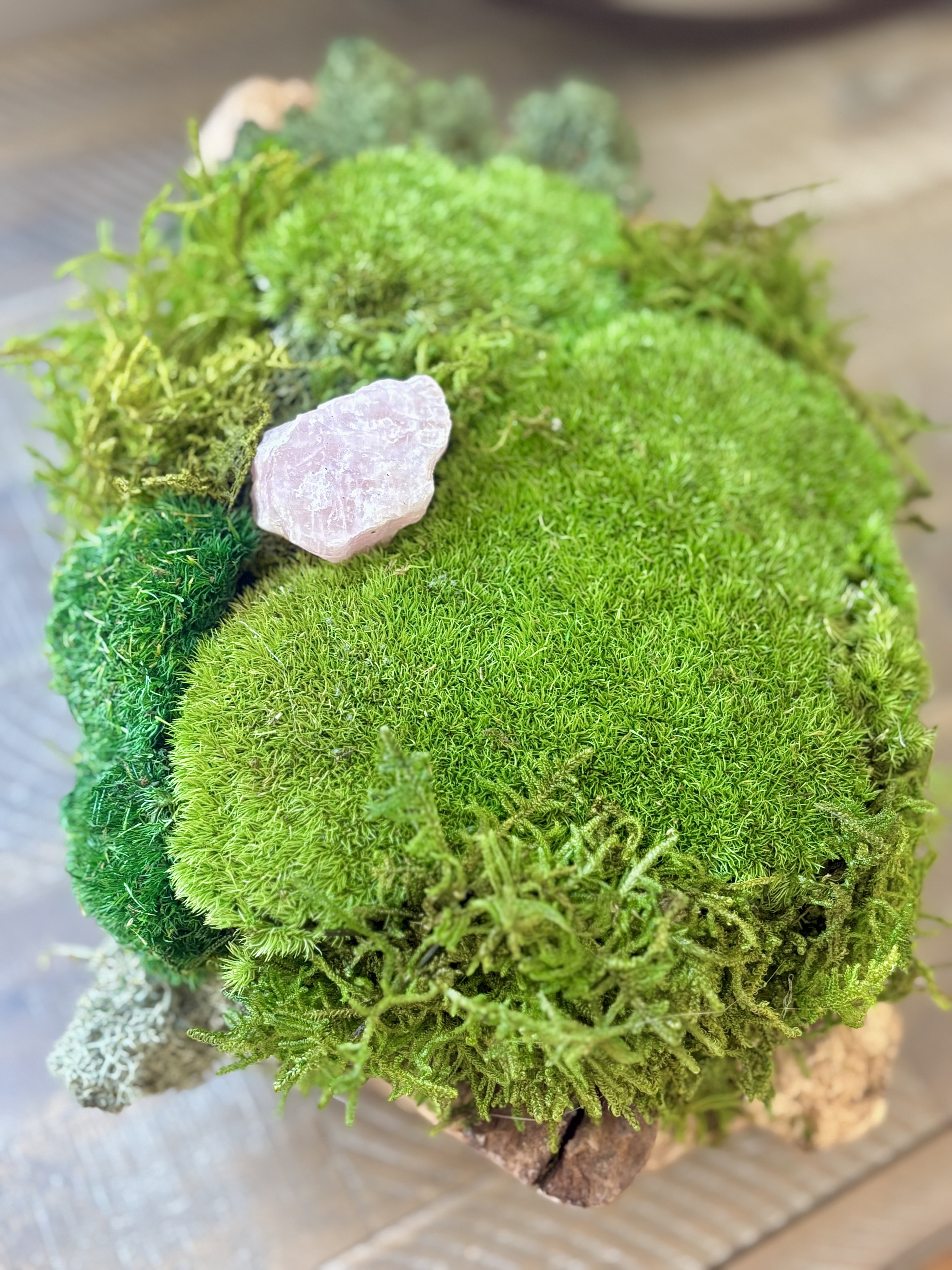 Preserved Moss Centerpiece Eco-Friendly in Teak Wood Planter