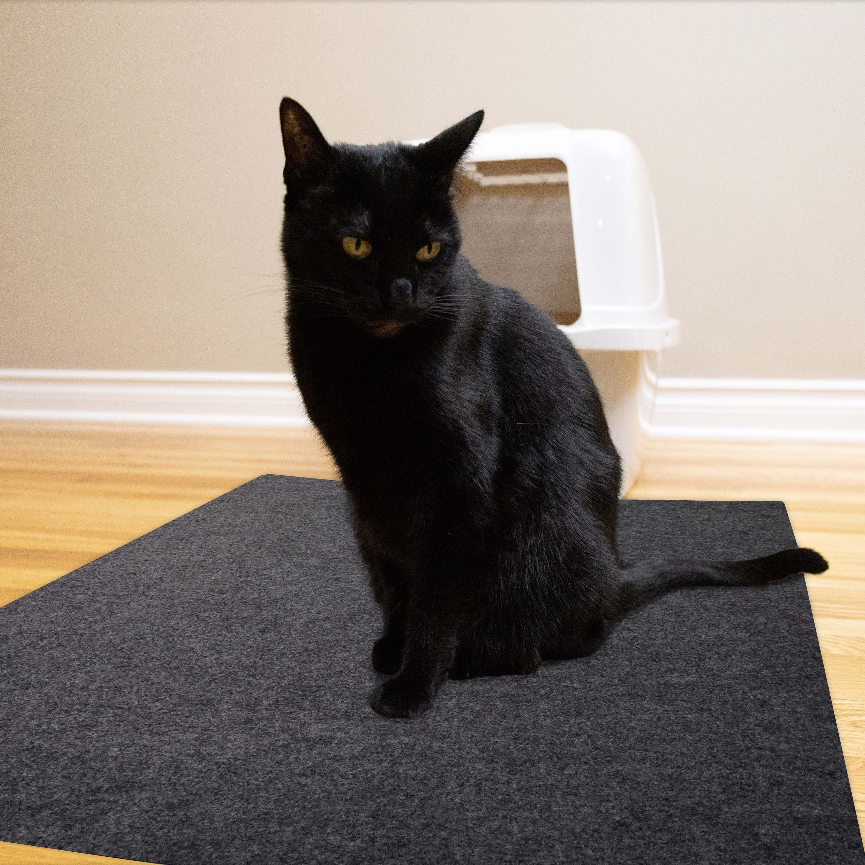 Get this XL Litter Mat on our site today! 😻✨