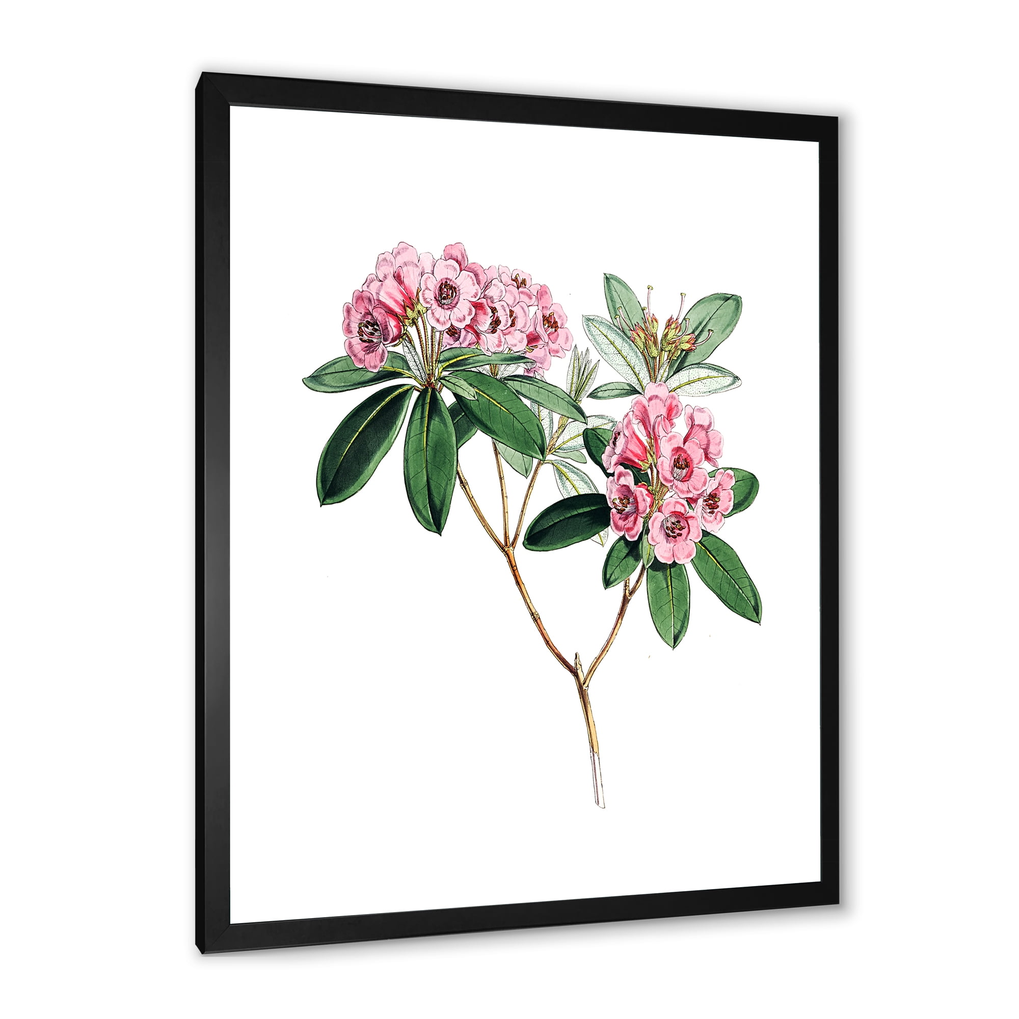Designart 'Ancient American Flora II' Traditional Framed Art Print