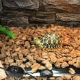 thumbnail image 5 of Tapis Chauffant Terrarium Sable - Tapis 5/7/14/20W Température Réglable, 5 of 5