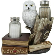 World of Wonders Wizard Owl Salt and Pepper Shakers Set  - 6"