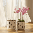 thumbnail image 3 of EFISPSS 2 Pack 5+6 inch white orchid pots with holes and removable trays, assist new plants or repotting, 3 of 8