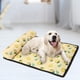 thumbnail image 5 of Cama para perros, cama antideslizante para cachorros, colchón, manta, múltiples opciones, alfombrilla para gatos, cojín para perros CXL Zulema Almohadilla de enfriamiento para mascotas, 5 of 8