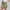 Mint Green, variant on Wensltd High Waist Yoga Short Skirt Women with Pockets Leggings for Women