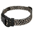thumbnail image 3 of Country Brook Petz® Cheetah Everyday Dog Collar and Leash, Small, 3 of 6
