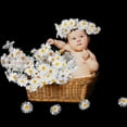 thumbnail image 5 of 6 Bundles Wildflowers Fake Daisy Outdoor Artificial Flowers UV Resistant Silk Wild Flower Bouquets Bulk Faux Plants Plastic Greenery for Decoration Vase Floral Spring Home Decor, 5 of 5