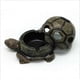 thumbnail image 3 of Animal Ashtray Home Furnishings, 3 of 5